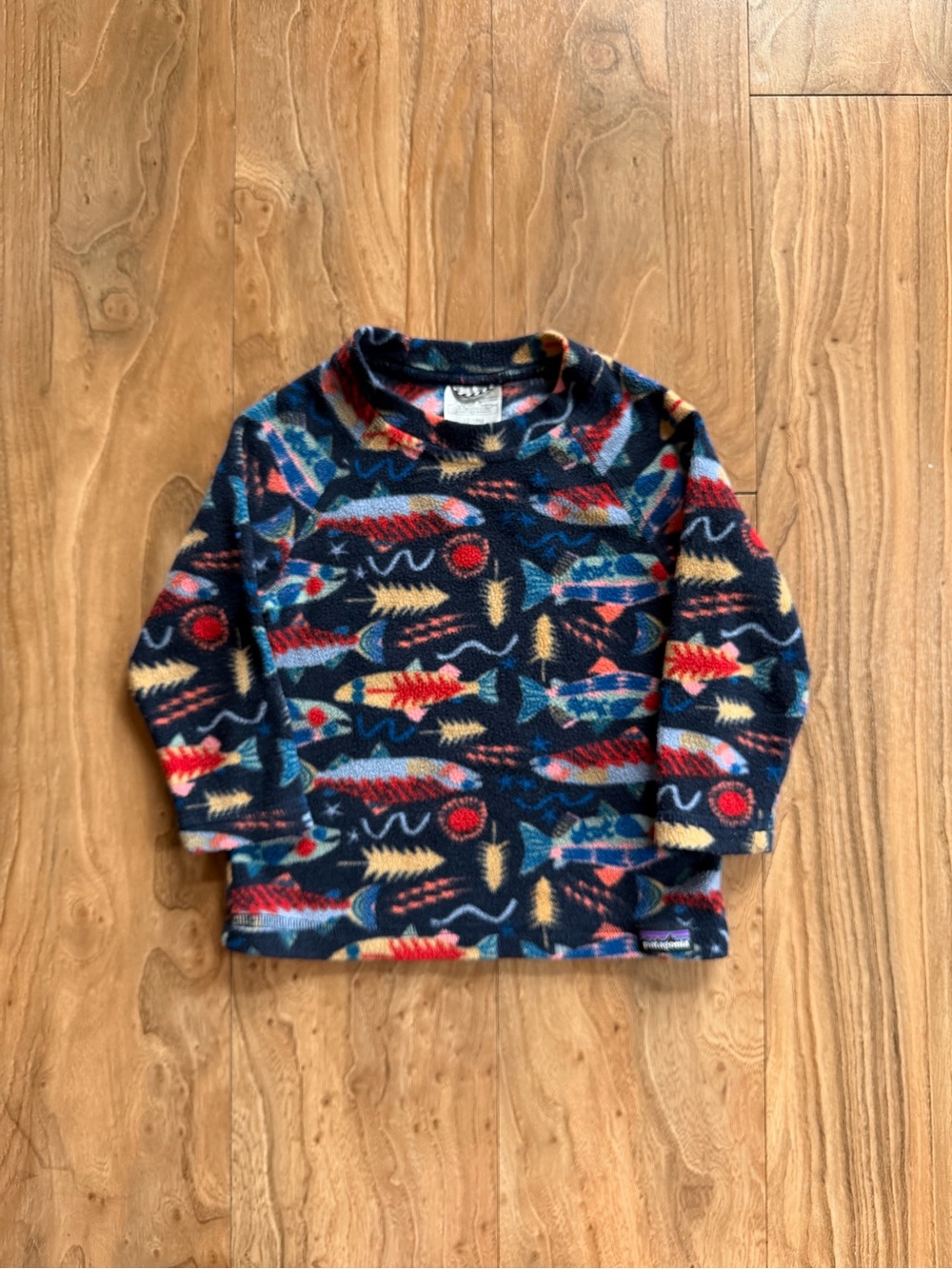 Patagonia Salmon Energy Micro D fleece sweatshirt
